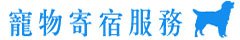 香港騷豪網站設計公司寫網站整網站做網站價錢優惠網站網域名登記寫網站寄存服務