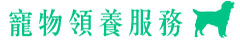 香港騷豪網站設計公司寫網站整網站做網站價錢優惠網站網域名登記寫網站寄存服務